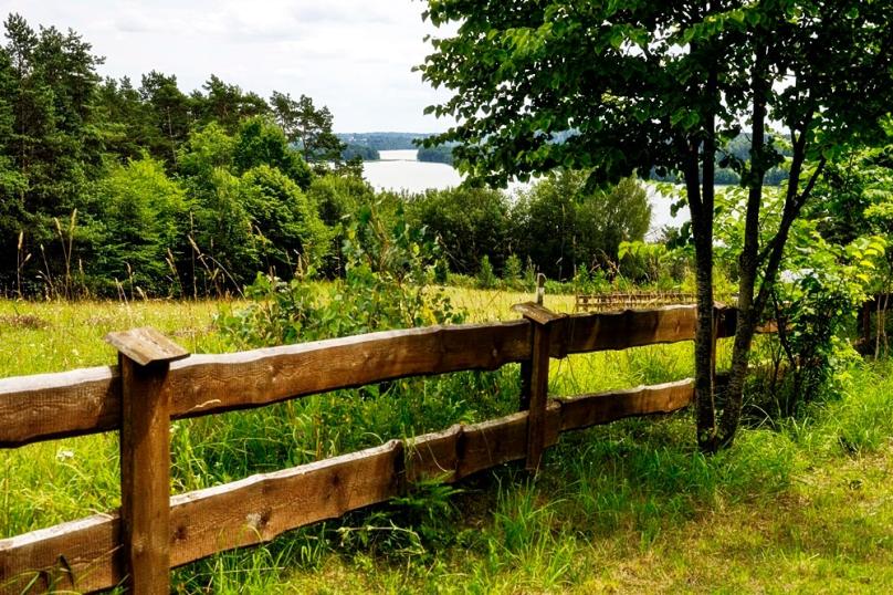 Czarne gm. Filipów, Dom 97 m2 nad jeziorem, działka zalesiona z plażą i pomostem